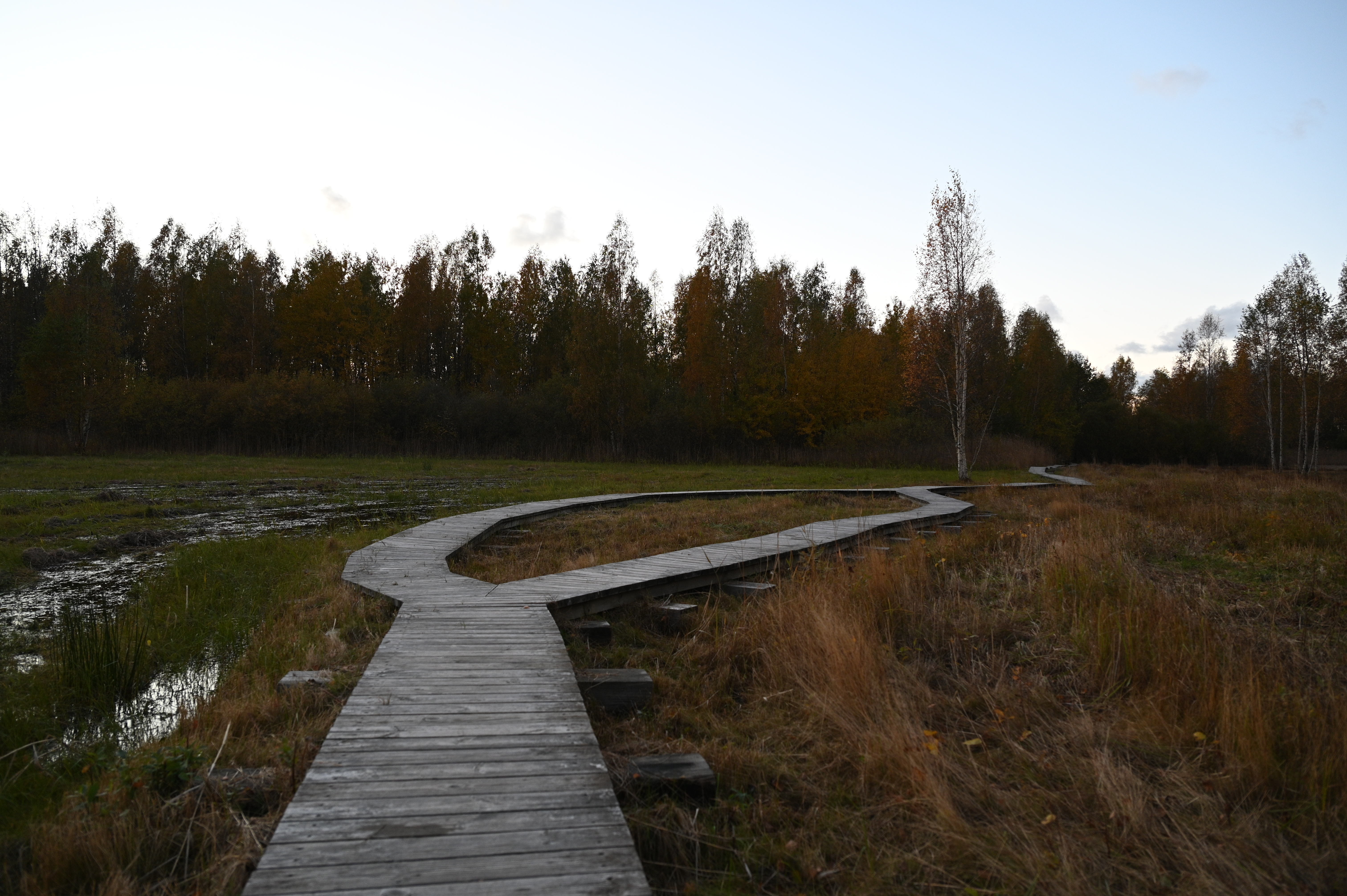 2025/10/18 - walk/DSC_0553.JPG